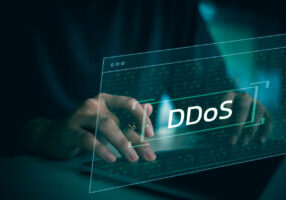 A person is typing on a laptop with the word Ddos on the screen. Concept of urgency and importance, as the person is likely working on a critical task or project